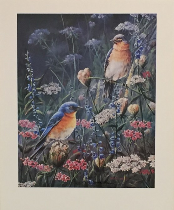 003-Blue Birds in Wildflowers