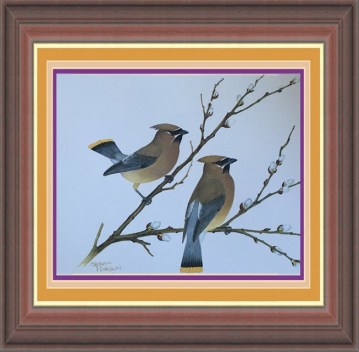 Cedar Waxwings