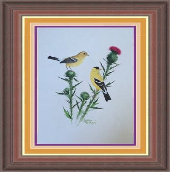 Gold Finch
